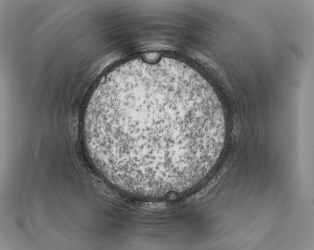 X0000111151313200907281124