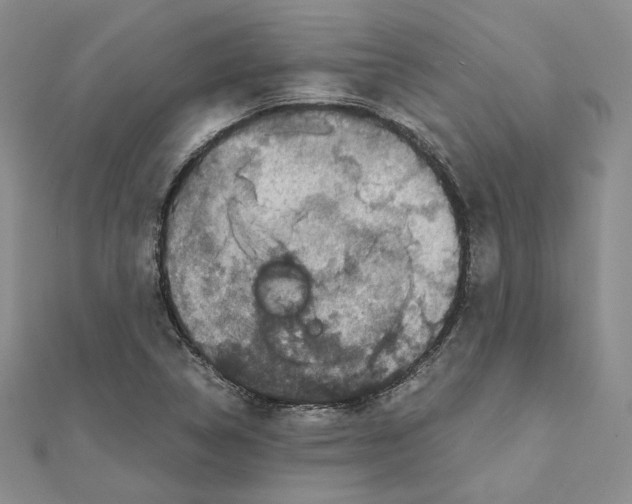 X0000111151314200907281124