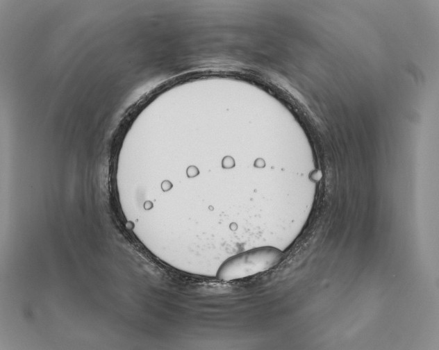 X0000111151315200907281124