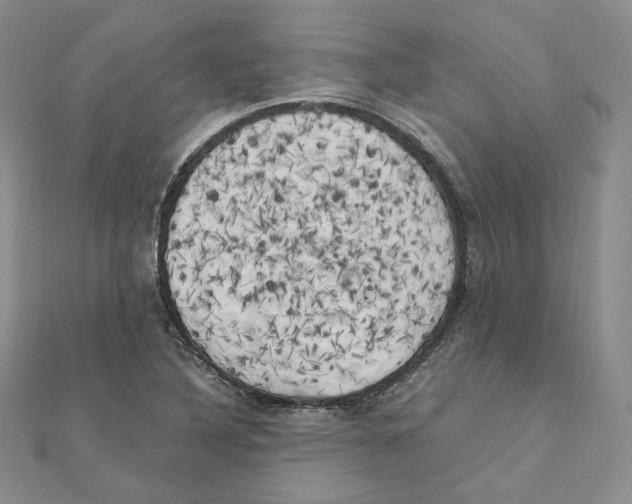 X0000111151316200907281124