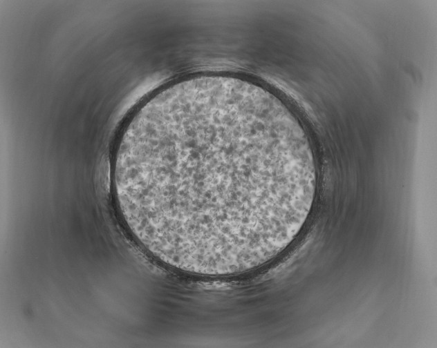 X0000111151317200907281124