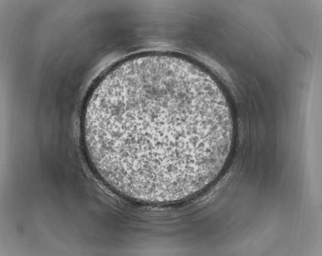 X0000111151318200907281124