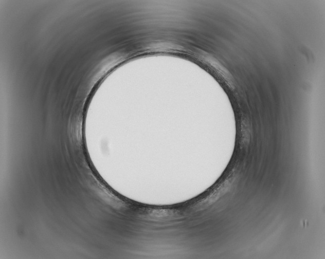 X0000111151322200907281124