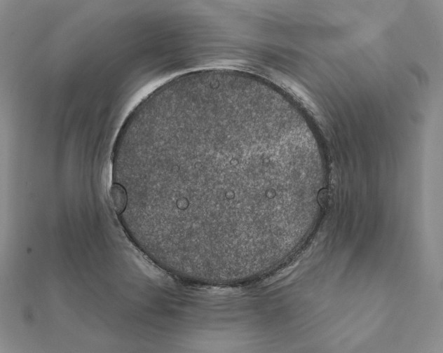 X0000111151324200907281124