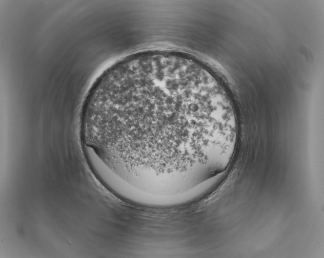 X0000111151326200907281124