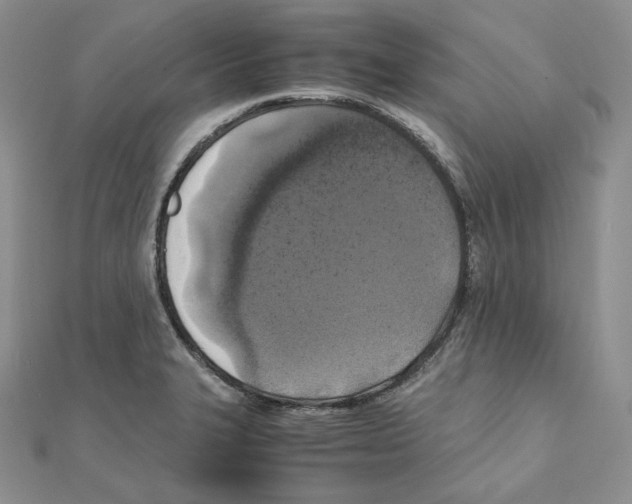 X0000111151327200907281124