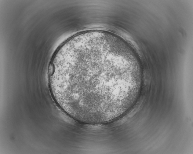 X0000111151328200907281124