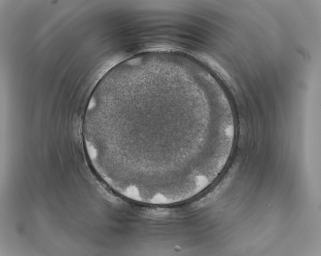 X0000111151329200907281124