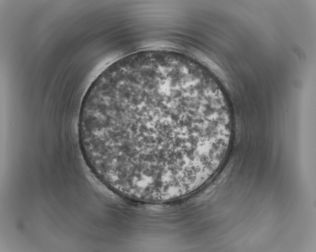 X0000111151330200907281124