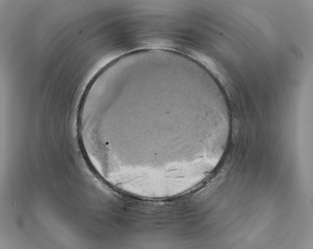 X0000111151331200907281124