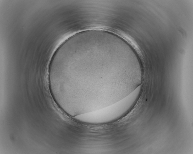 X0000111151332200907281124