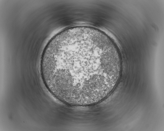 X0000111151333200907281124