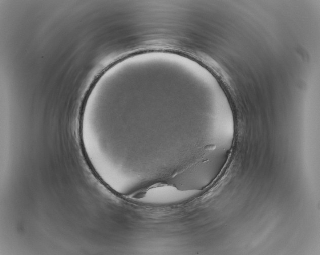 X0000111151334200907281124