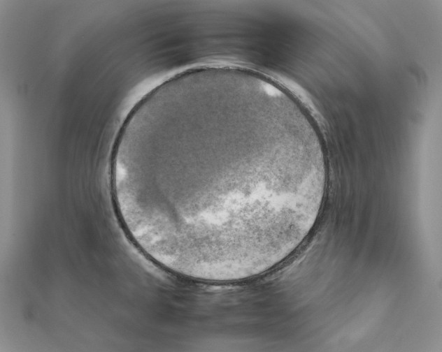 X0000111151335200907281124