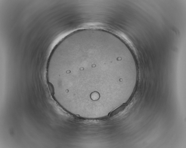 X0000111151336200907281124