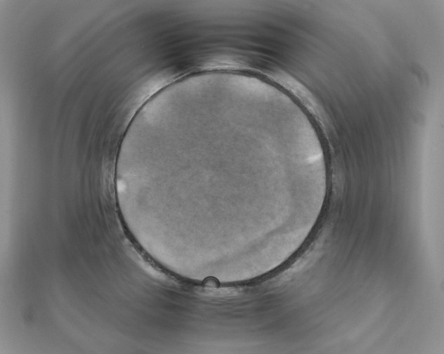 X0000111151337200907281124