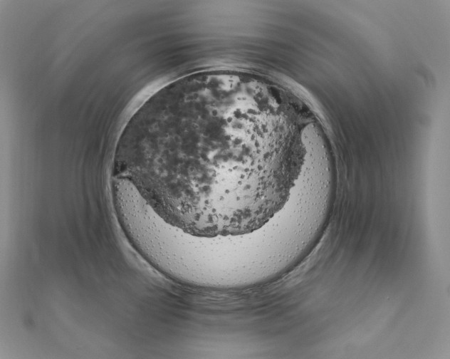 X0000111151338200907281124