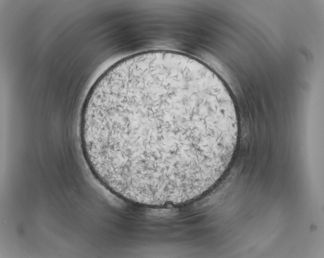 X0000111151339200907281124