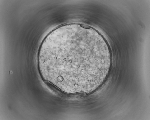 X0000111151341200907281124