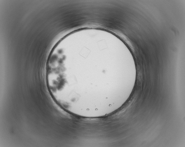 X0000111151343200907281124