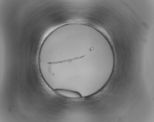 X0000111151344200907281124