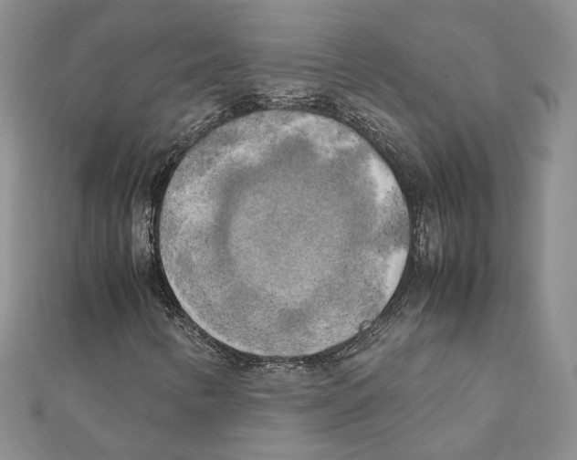 X0000111151346200907281124