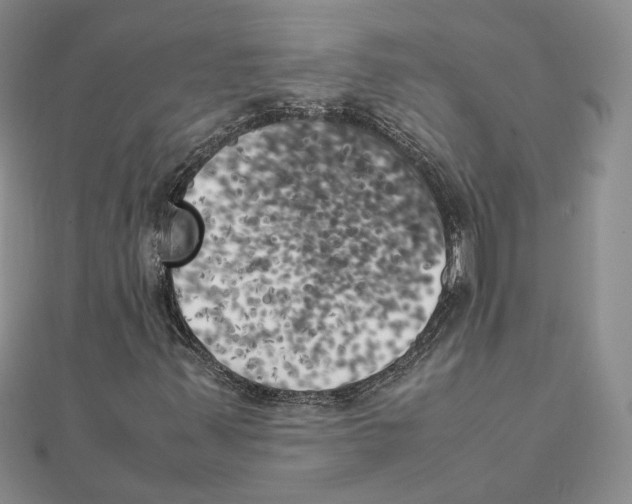 X0000111151347200907281124