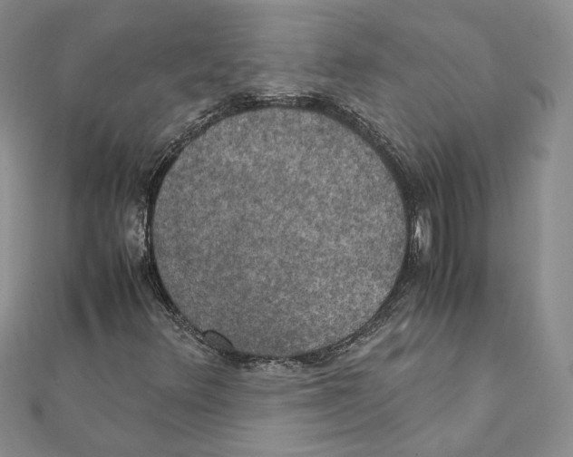 X0000111151348200907281124