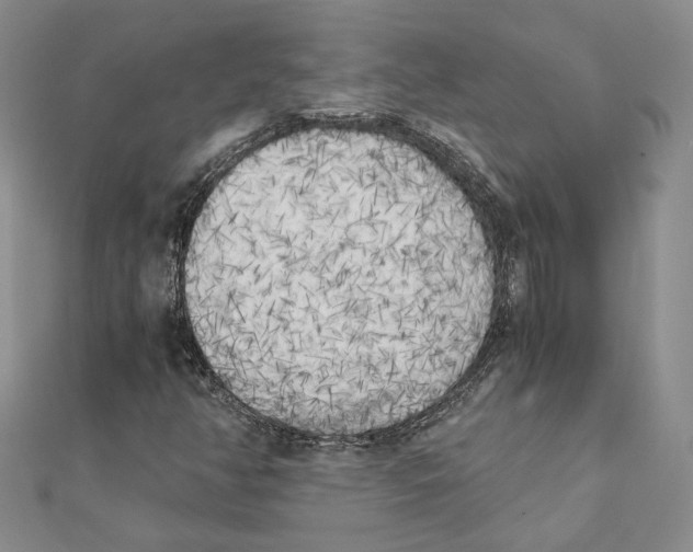 X0000111151350200907281124