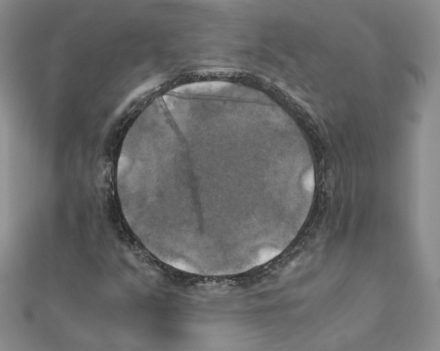 X0000111151351200907281124