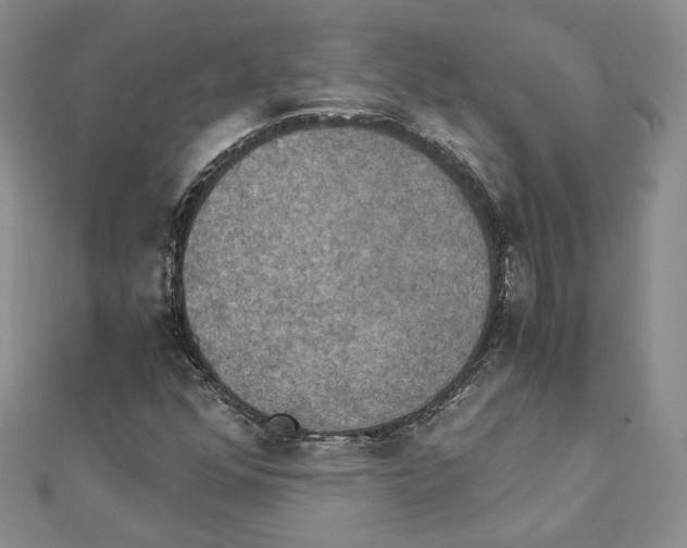 X0000111151352200907281124