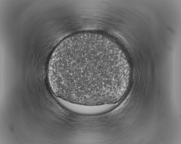 X0000111151353200907281124