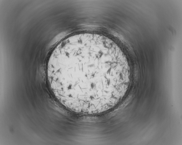 X0000111151354200907281124