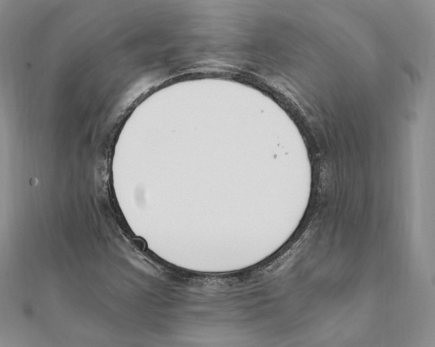 X0000111151355200907281124