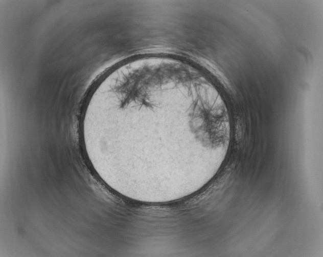 X0000111151356200907281124