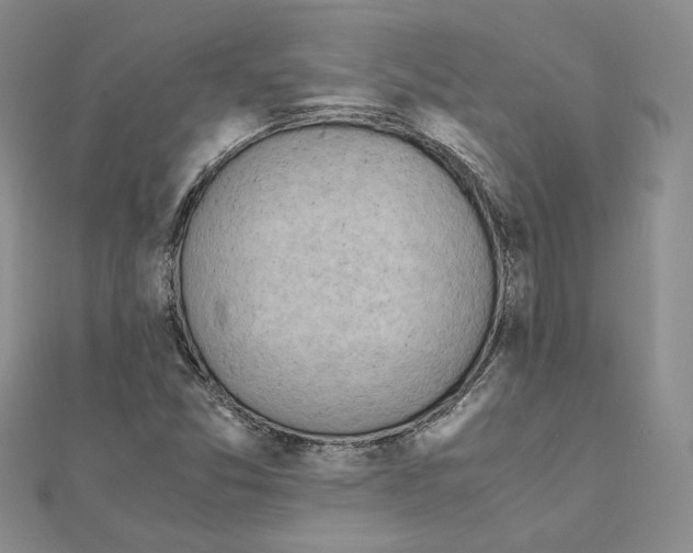 X0000111151357200907281124