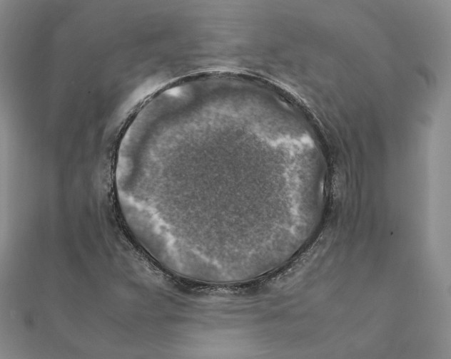 X0000111151359200907281124