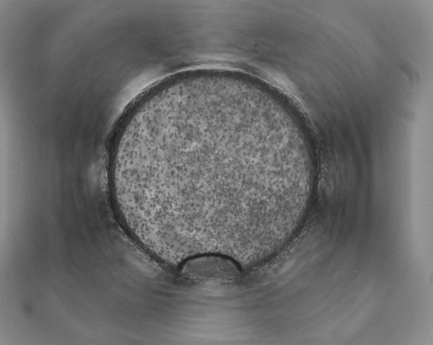 X0000111151360200907281124