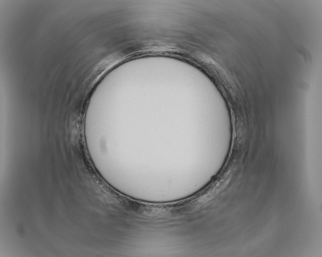 X0000111151361200907281124