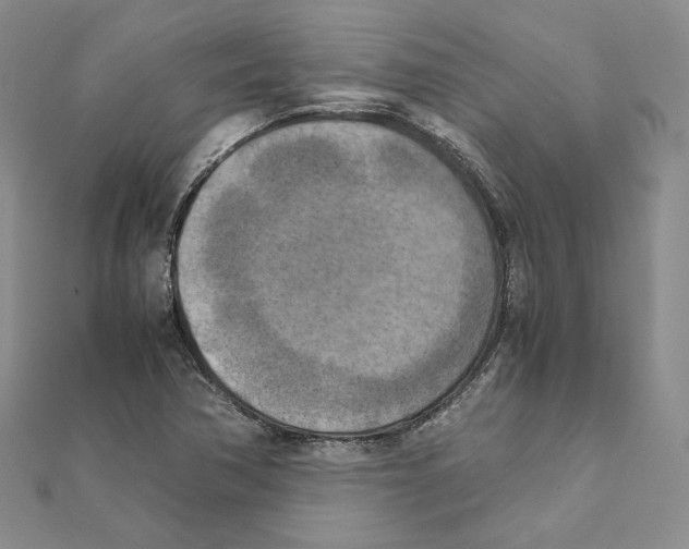 X0000111151362200907281124