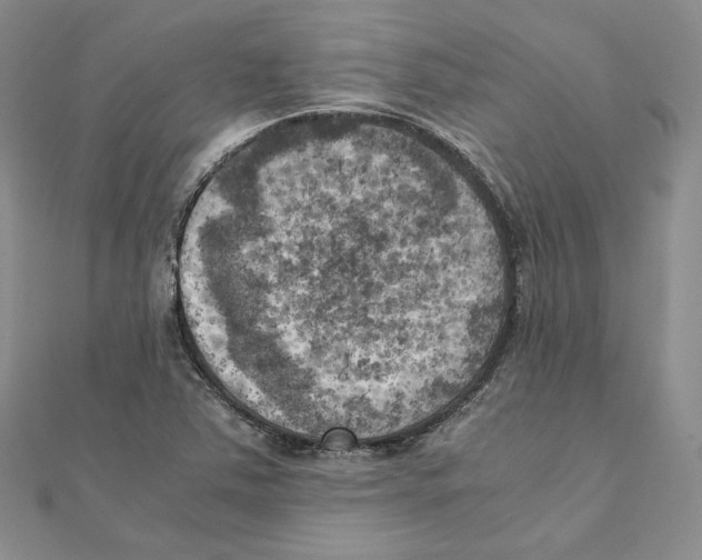 X0000111151363200907281124