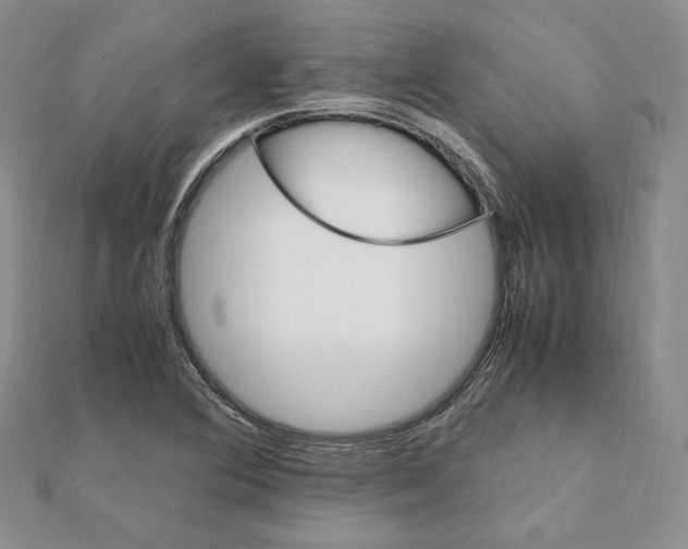 X0000111151364200907281124