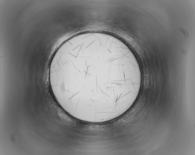 X0000111151366200907281124