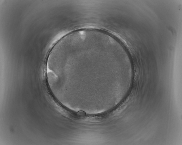 X0000111151367200907281124