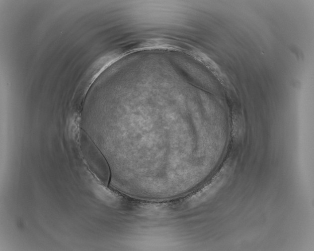 X0000111151369200907281124