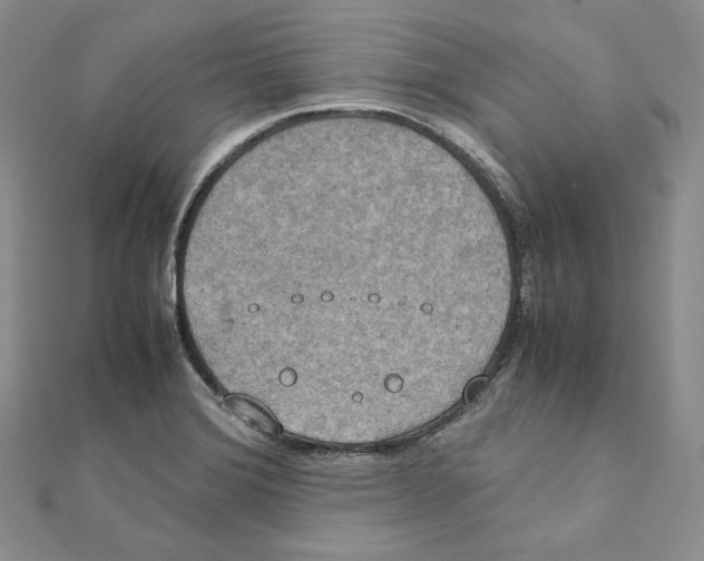 X0000111151372200907281124