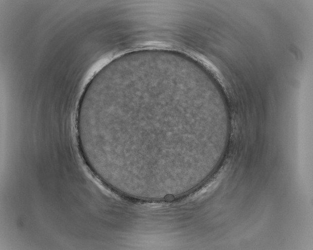 X0000111151373200907281123