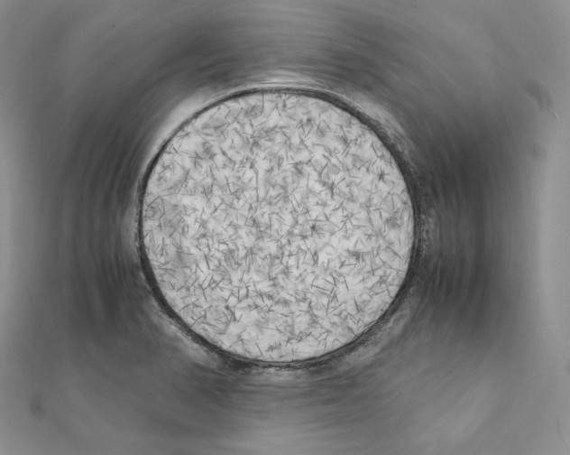 X0000111151374200907281123