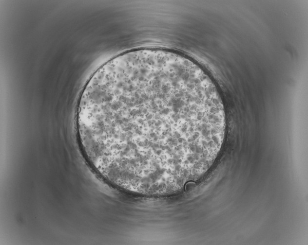 X0000111151375200907281123