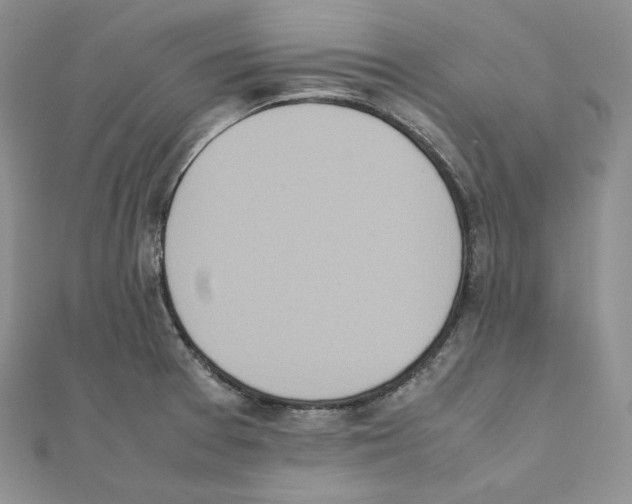 X0000111151377200907281123